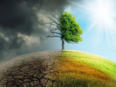 İklim kriziyle ilgili az bilinen beş şaşırtıcı gerçek