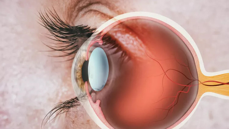 Kovid-19'in etkilediği bir organ daha! Gözümüzü nasıl koruyabiliriz?
