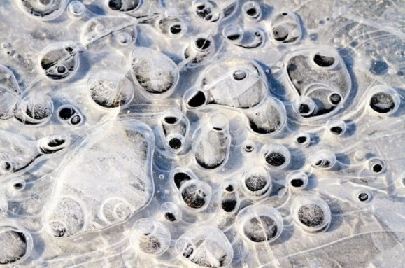 Sibirya'daki buzların erimesi antik virüs ve bakterileri serbest bırakacak