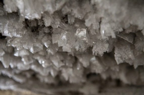 Sibirya'daki buzların erimesi antik virüs ve bakterileri serbest bırakacak