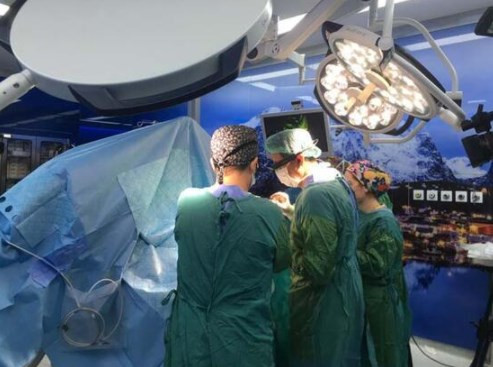 Türkiye'de 'ilk' canlı beyin pili ameliyatı kursu