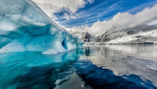 Bilim insanları Antarktika'nın altında hayat buldu