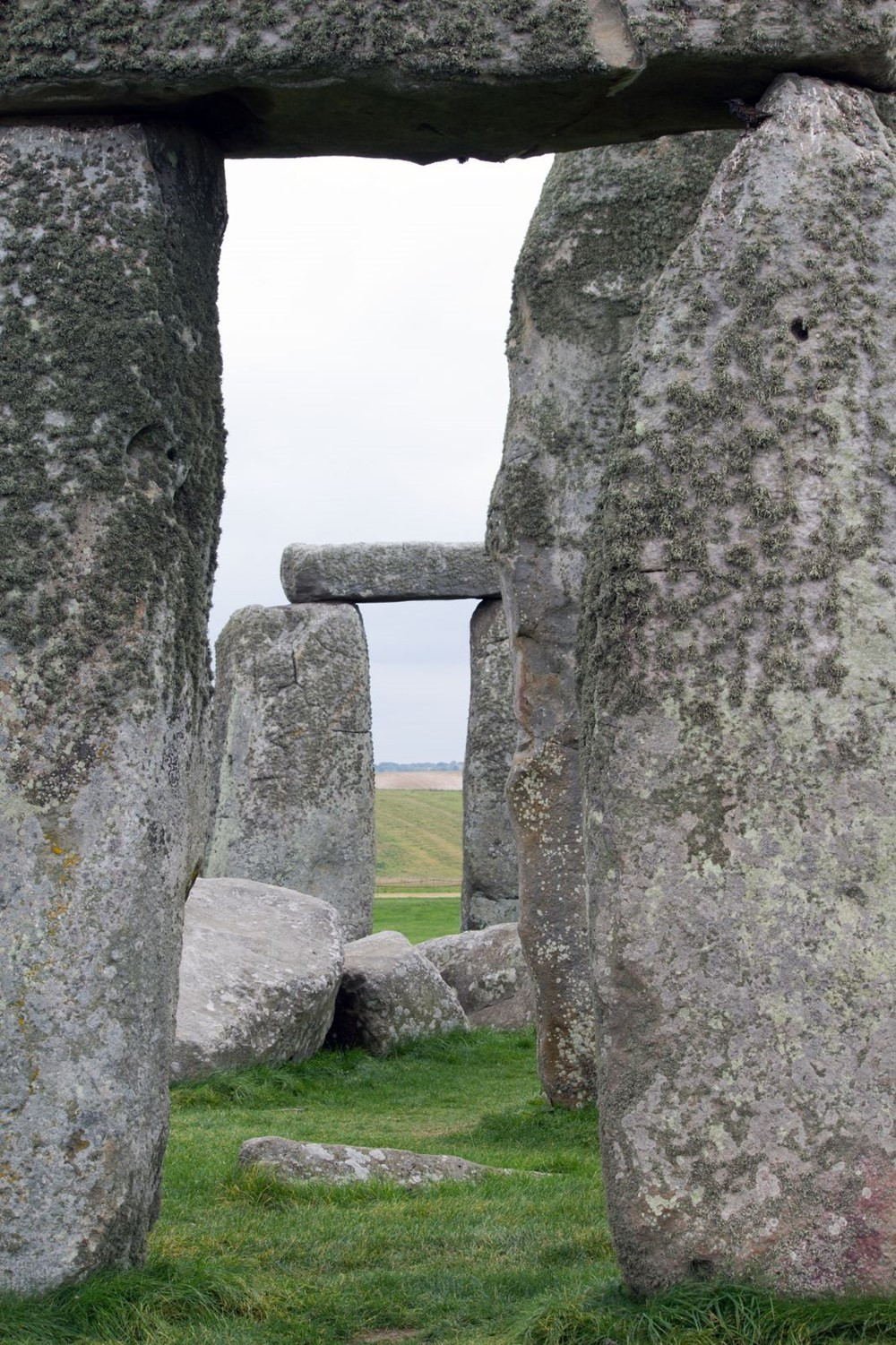 Stonehenge için flaş iddia: İngiltere’de inşa edilmedi