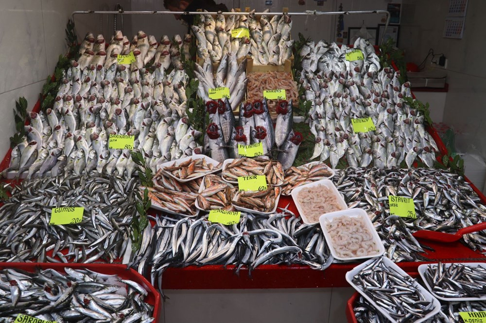 Çanakkale’de balık tezgahları doldu, fiyat düştü