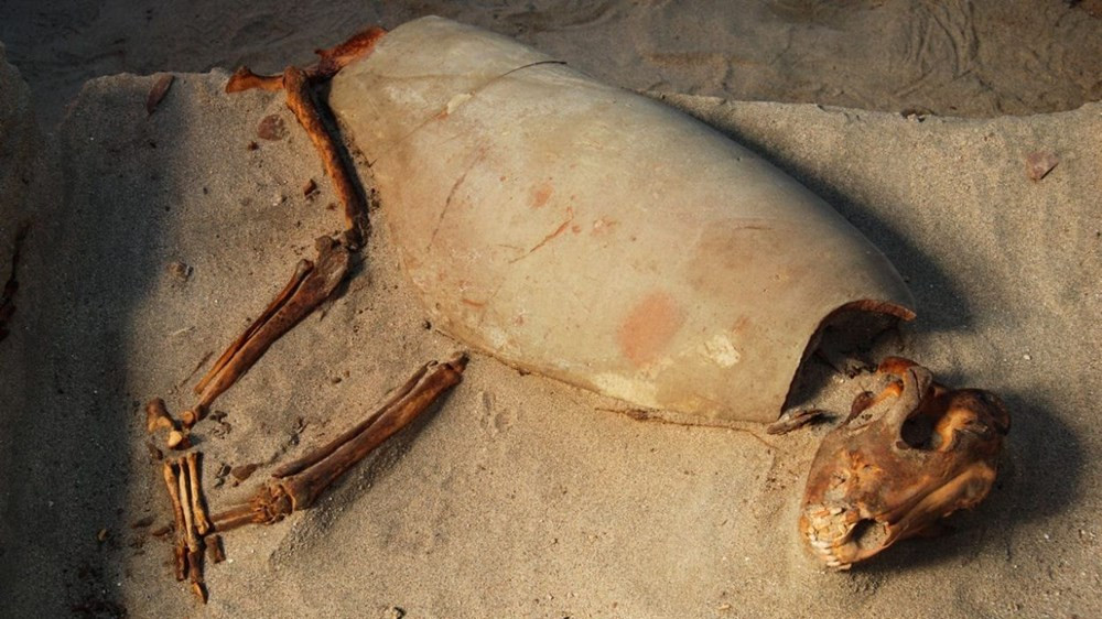 Dünyanın en eski hayvan mezarlığı bulundu