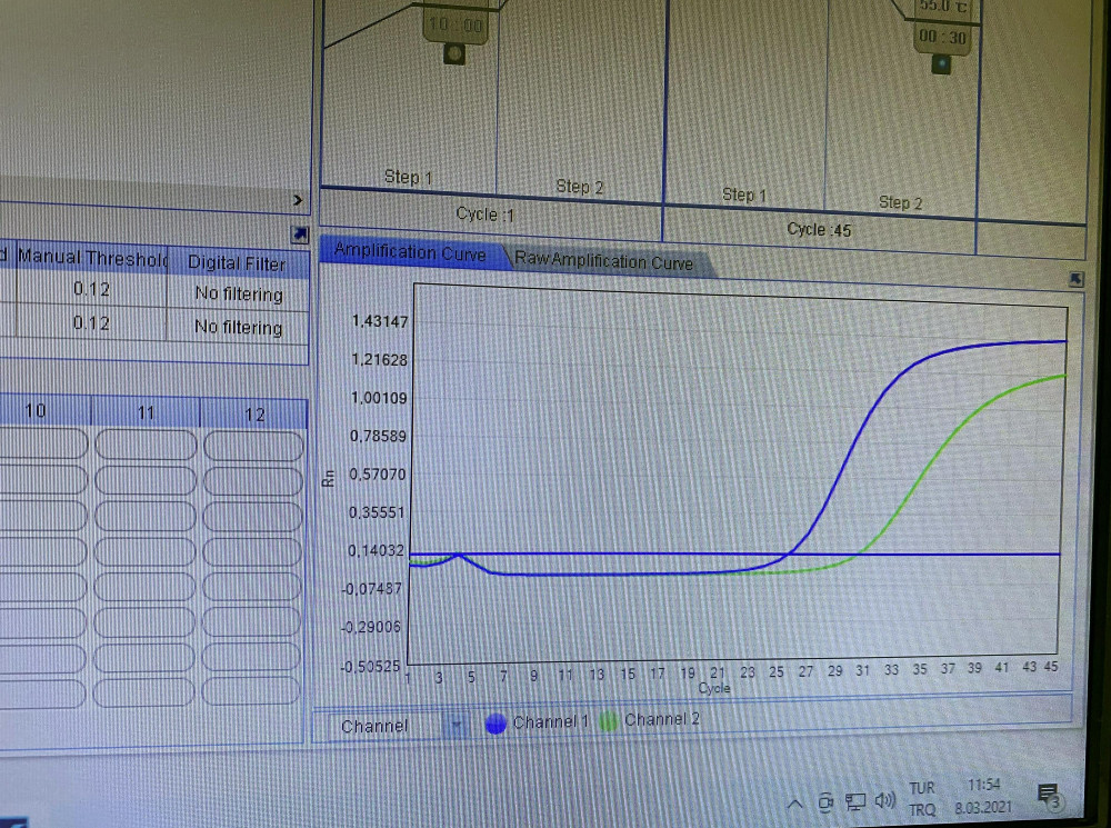 PCR testinde Kovid-19'u mavi çizgi belirliyor