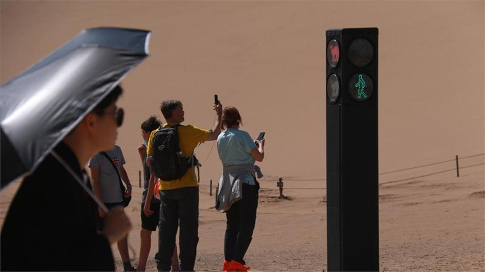 Çin'de develere özel trafik lambası