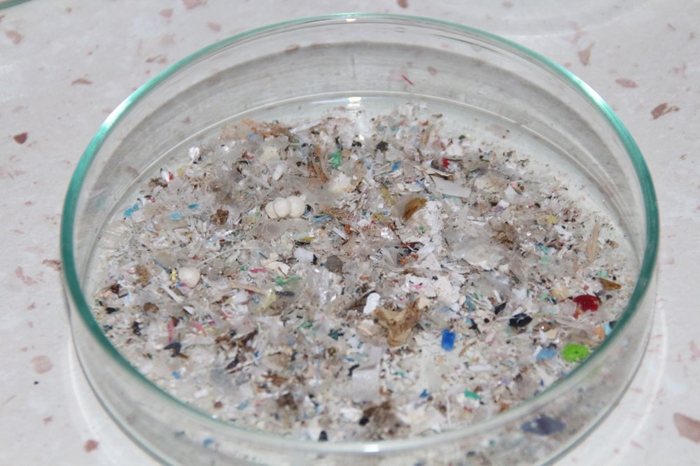 Karadeniz'de 'mikroplastik' kirliliği: 12 balık türünde görüldü