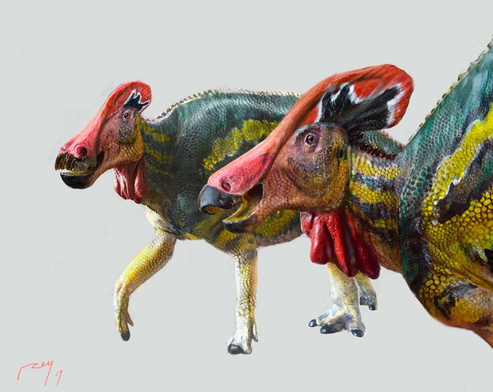 Meksika’da 72 milyon yıl önce yaşayan dinozor türü keşfedildi