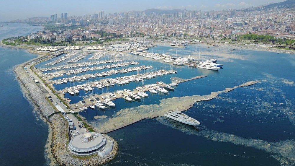 Marmara Denizi'nde salya araştırması
