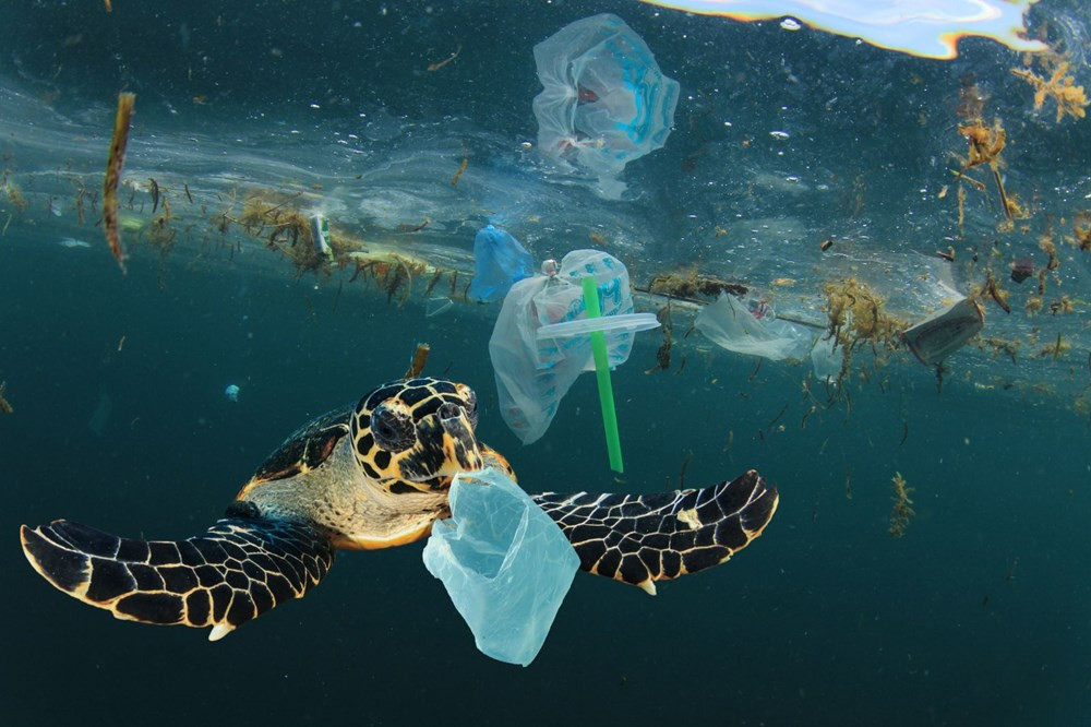 Araştırma: Denizlerdeki plastik kirliliğinin sebebi...