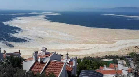 Marmara’ya Karadeniz’den organik karbon yağıyor