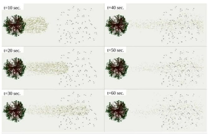 Polenler korona virüsü en az 20 metre uzağa taşıyor