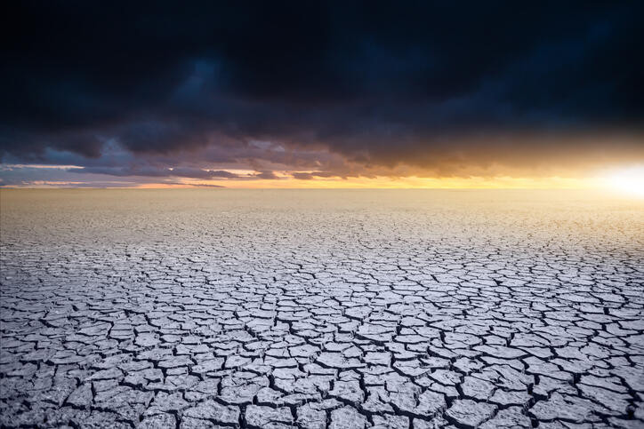 İklim kriziyle mücadelede 6 sıra dışı ve etkili yöntem
