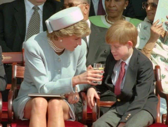 Prenses Diana’nın çocukluk bisikleti açık artırmaya çıkarılıyor