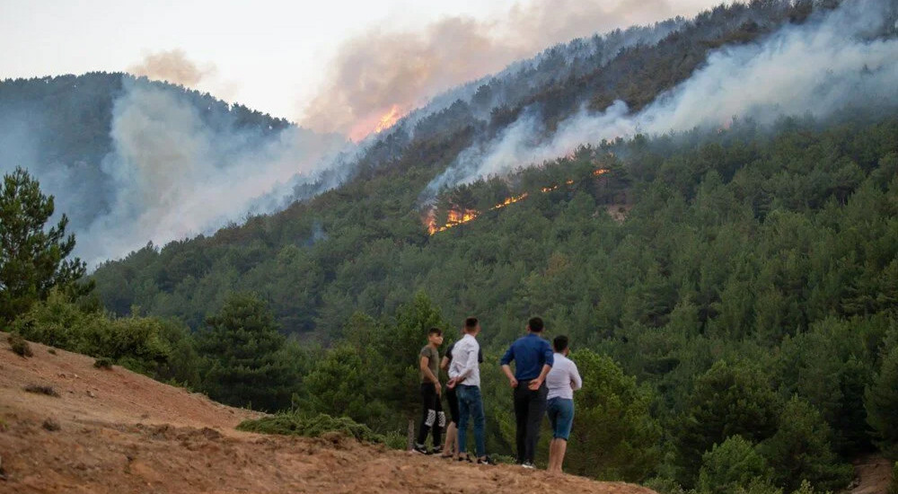 Hatay ve Mersin'de orman yangını! 50 ev tahliye edildi...