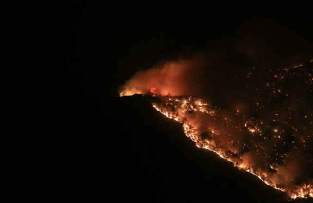 Türkiye'nin 'ciğerleri' yanıyor: 7 ilde orman yangını