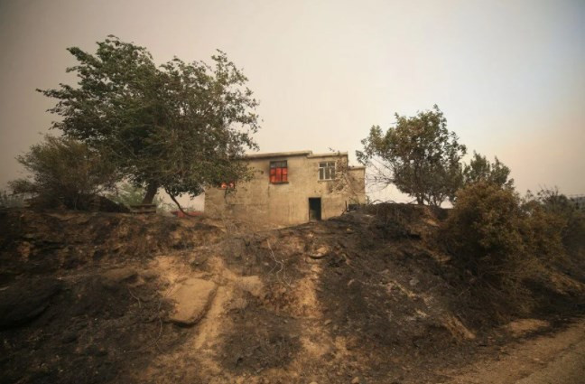 Türkiye'nin 'ciğerleri' yanıyor: 7 ilde orman yangını