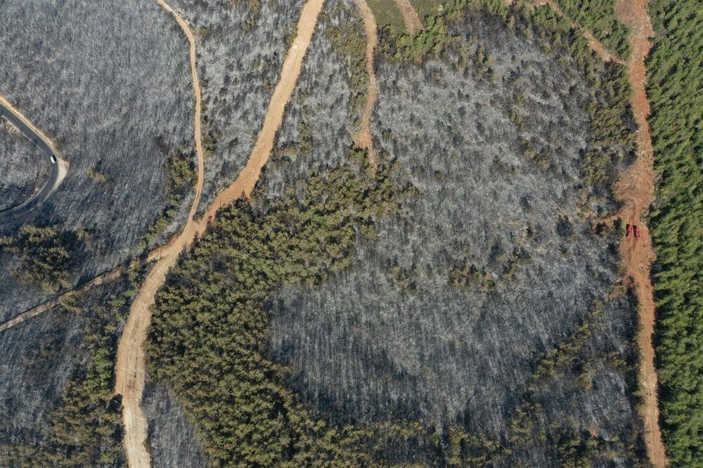 Alevler otele sıçramıştı... 80 hektar orman kül oldu!