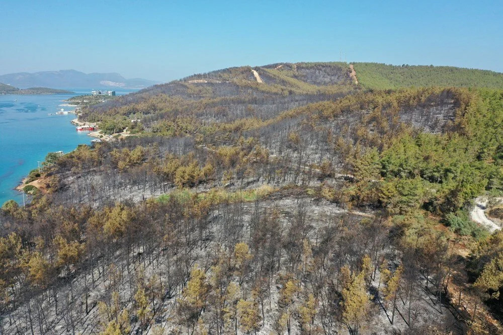 Alevler otele sıçramıştı... 80 hektar orman kül oldu!