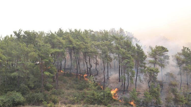 Dünya, Türkiye'yi bu fotoğraflarla gördü: Olağandışı yangınlar!