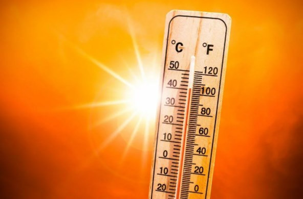 Aşırı sıcaklıklar nedeniyle her yıl 5 milyondan fazla insan ölüyor
