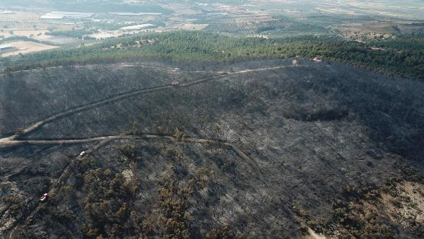 Foça'daki yangında 30 hektar ormanlık alan zarar gördü!