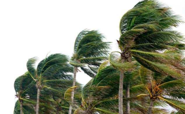 Bilim insanlarından Pasifik ada ülkeleri için felaket uyarısı: Yok olabilirler