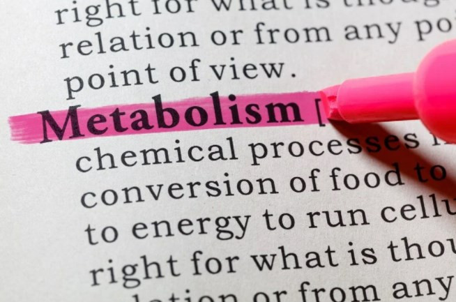 Ezber bozan araştırma: Metabolizma hızı 20 yaşından 60 yaşına kadar değişmiyor