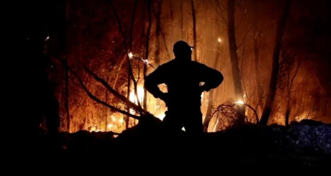 Akdeniz alev aldı: Yunanistan ve İtalya’da orman yangınları sürüyor
