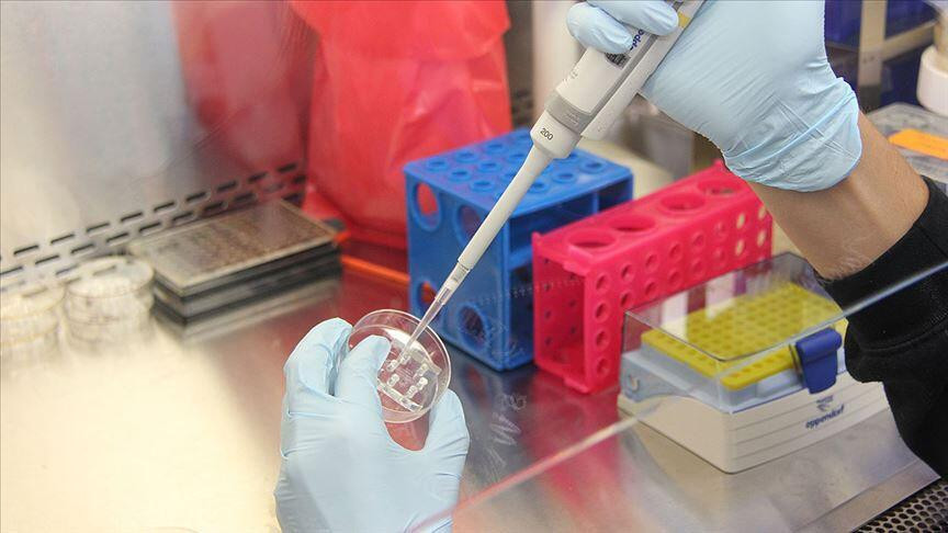 Uzmanlar yanıtladı: PCR testi 'zorunlu' tutabilir mi?