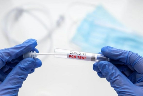 PCR sahteciliğine tıp dünyasından sert tepki: Ağır ceza verilmeli