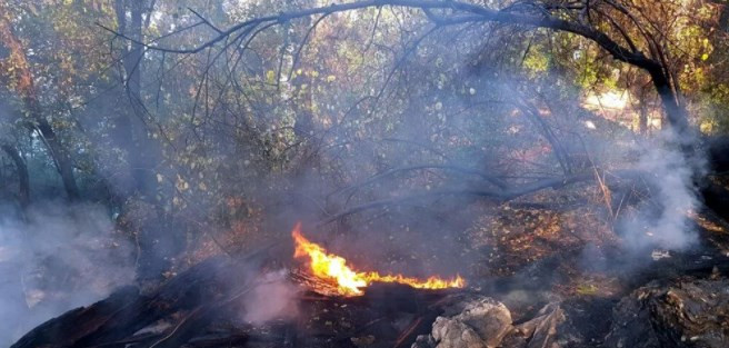 Muğla'da 3 günde yıldırım düşmesi sonucu 37 yangın çıktı