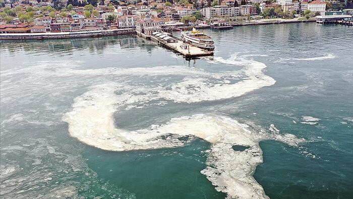 Uzmanlar yanıtladı: Marmara'dan balık yenir mi?