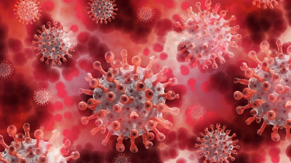 Flaş açıklama: Virüsün kaçacak yeri kalmadı!