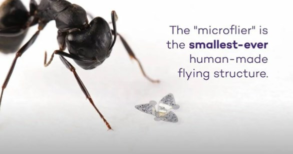 Dünyanın en küçük ve ilk uçan mikroçipi üretildi