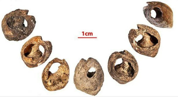 Dünyanın en eski mücevheri bulundu: 150 bin yıllık