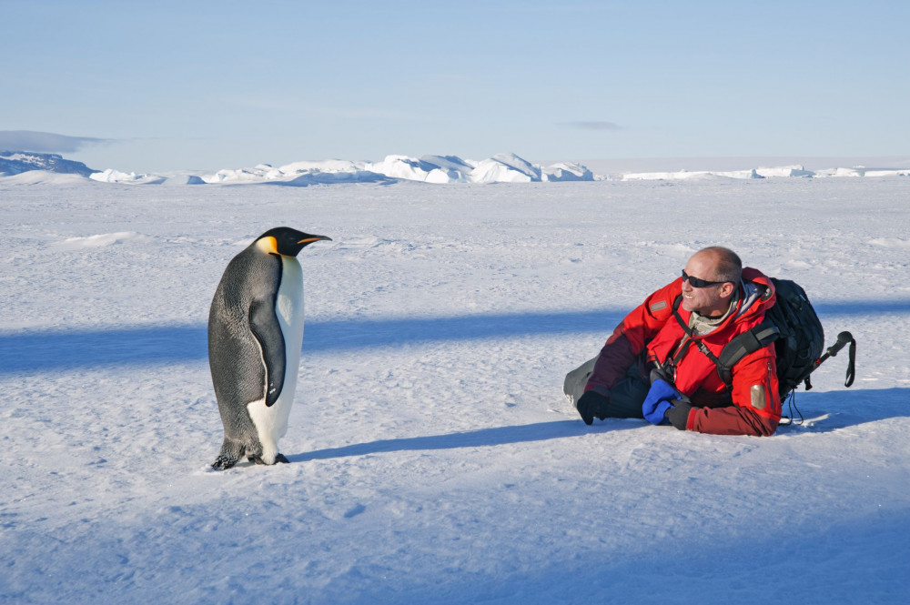 Antarktika'ya gemilerle ulaşan işgalci türler deniz ekosistemini tehdit ediyor