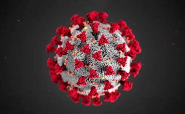 Korona virüsü dakikalar içinde tespit edebilen yapay zeka geliştirildi
