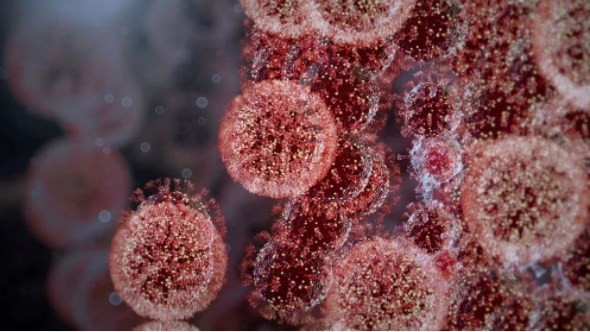 Omikron, diğer korona virüs varyantlardan daha hızlı öldürüyor
