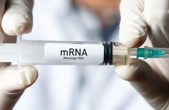 mRNA aşıları doğurganlığı ve gebeliği etkiliyor mu?