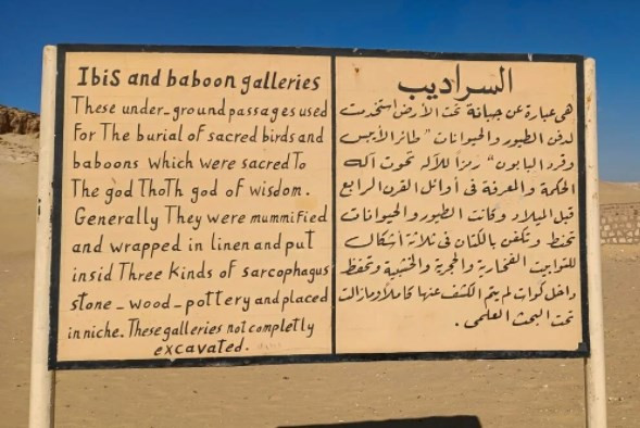 Mısır'da etrafı dağlarla çevrili 'yeraltı hayvan mezarlığı' gizemini koruyor