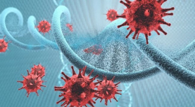 Kovid-19 ile enfekte olan HIV/AIDS hastası vücudunda 21 mutasyon geliştirdi