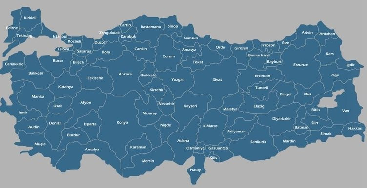 Şaşkına çeviren sonuç: Türkiye'de en çok aslen nereli var?