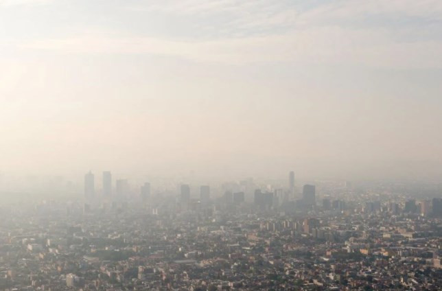 Araştırma: Hava kirliliği 2019’da 1,8 milyon can aldı