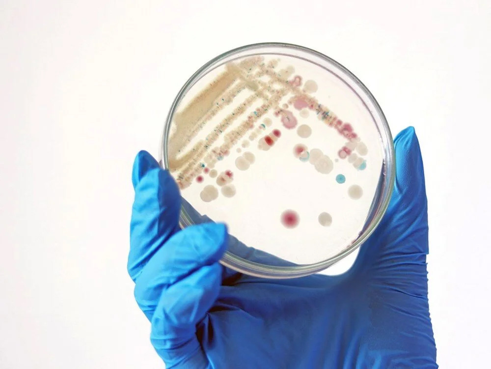 ABD'de ölümcül et yiyen bakteri kabusu: Vakalar 2'ye katlandı!