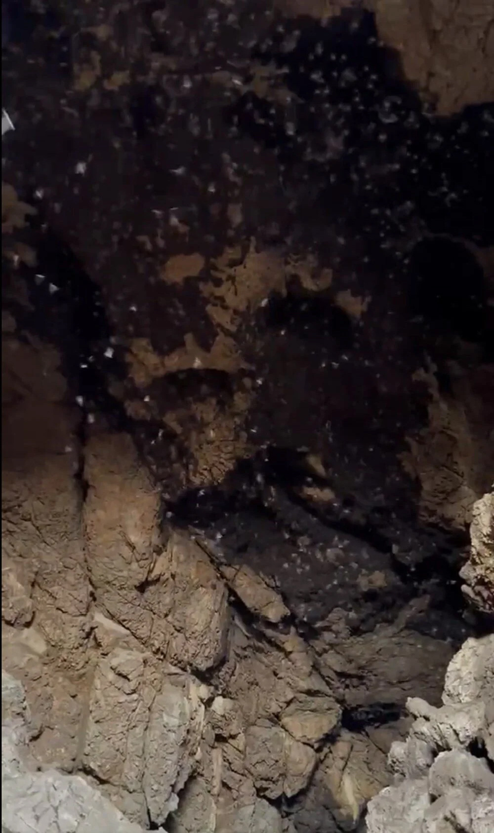 İngiliz virolog: Kovid-19'un kaynağı bu mağara!