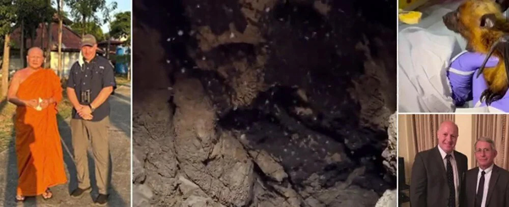 İngiliz virolog: Kovid-19'un kaynağı bu mağara!
