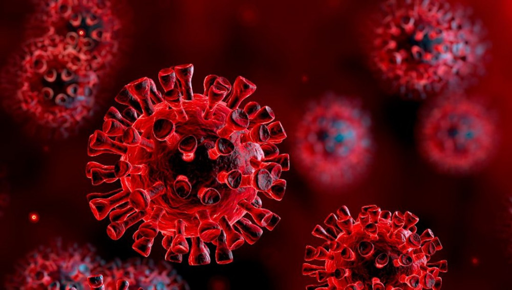 Lassa virüsü, yıllar sonra İngiltere'de görüldü