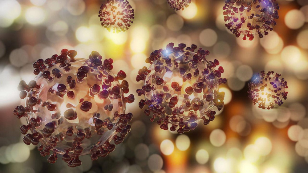 Lassa virüsü, yıllar sonra İngiltere'de görüldü